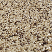 leganti ad alta prestazione